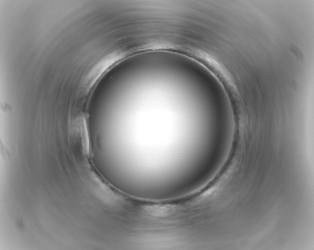 X0000091171185200708091159
