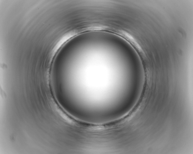 X0000091171186200708091159