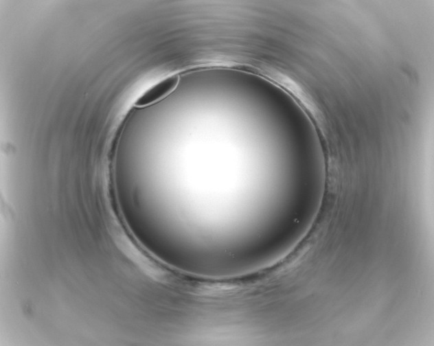X0000091171187200708091159
