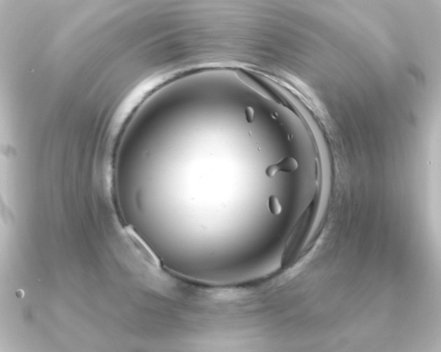 X0000091171188200708091159