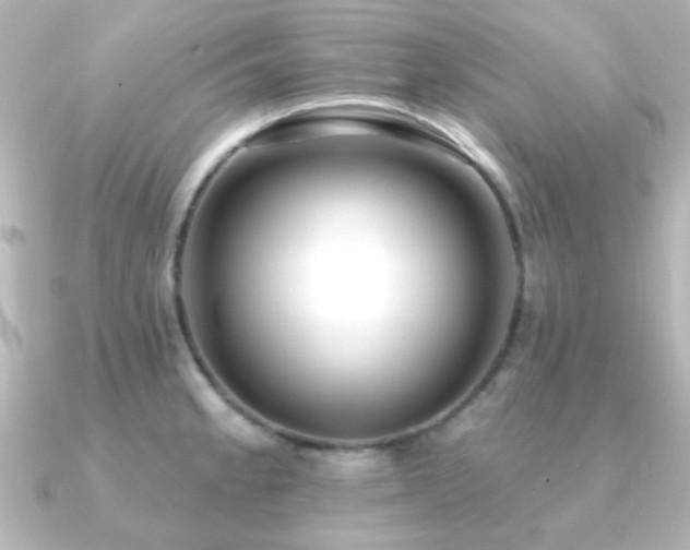X0000091171189200708091159