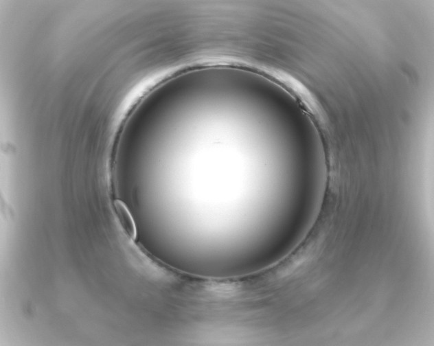 X0000091171191200708091159