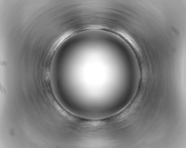 X0000091171193200708091159