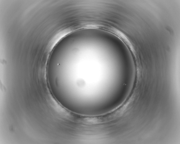 X0000091171194200708091159