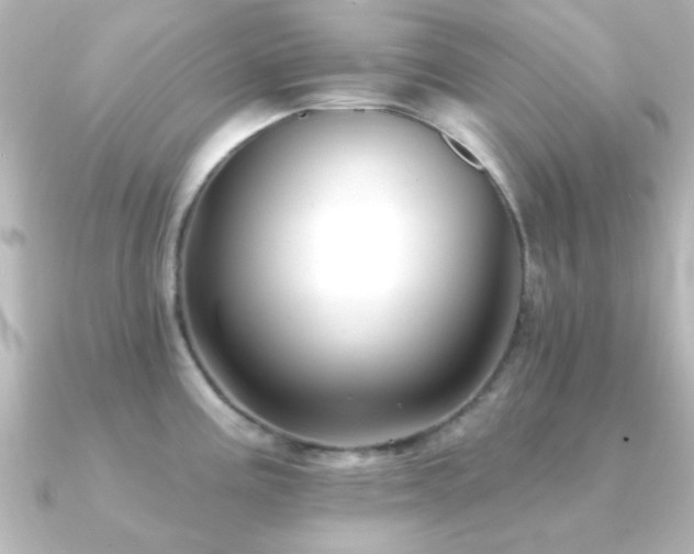 X0000091171195200708091159