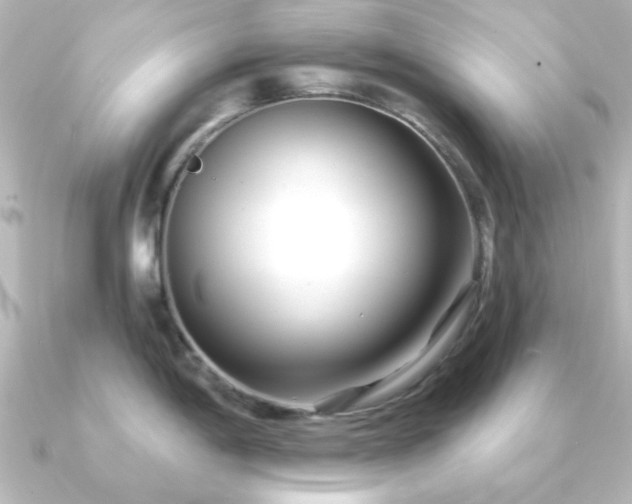 X0000091171198200708091159