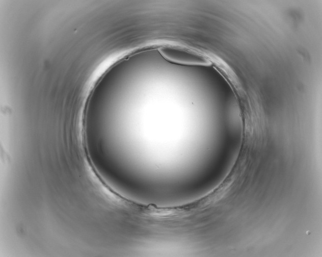 X0000091171199200708091159
