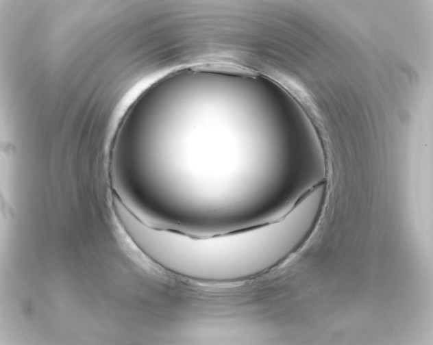 X0000091171200200708091159