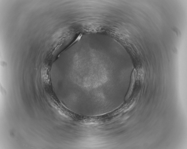X0000091171202200708091158