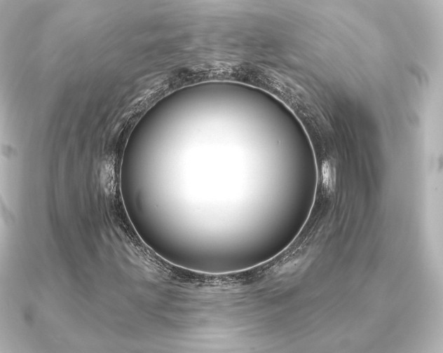 X0000091171203200708091158