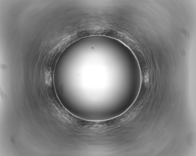 X0000091171204200708091158