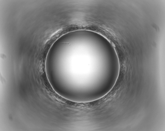 X0000091171205200708091158