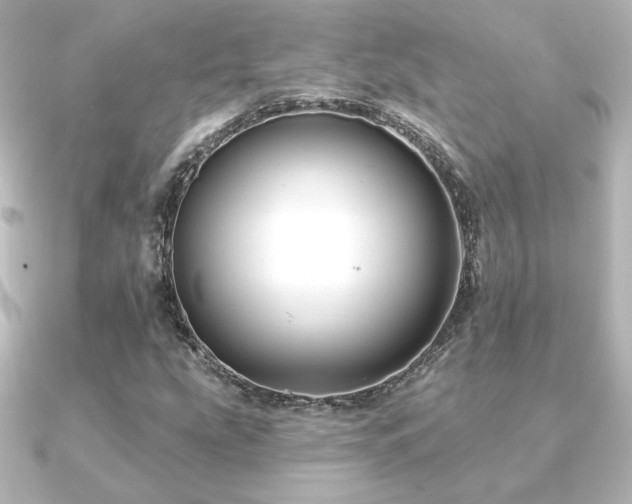 X0000091171207200708091158