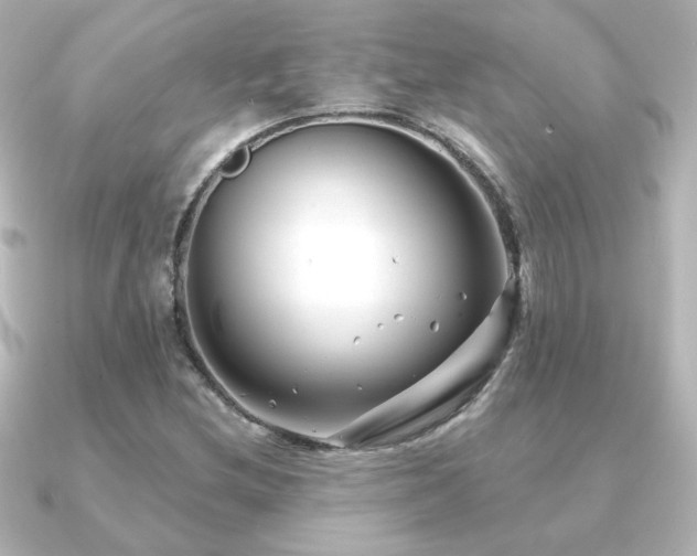 X0000091171212200708091158