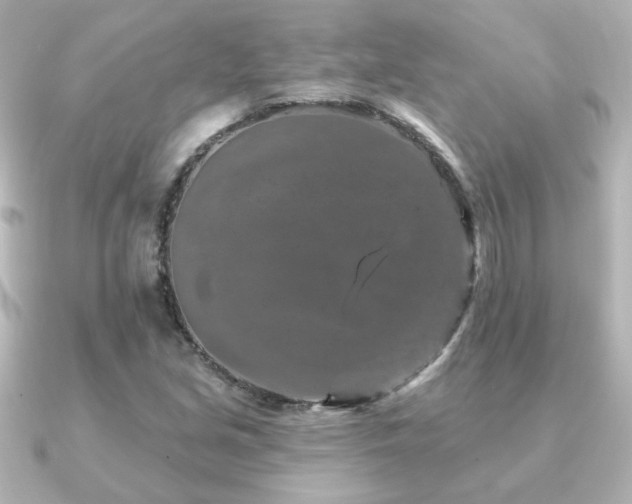 X0000091171213200708091158