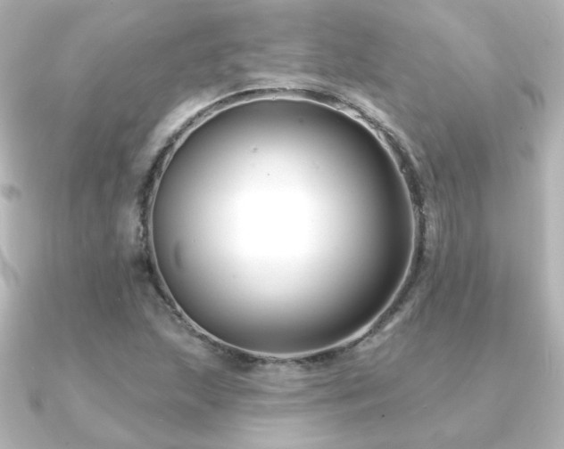 X0000091171215200708091158