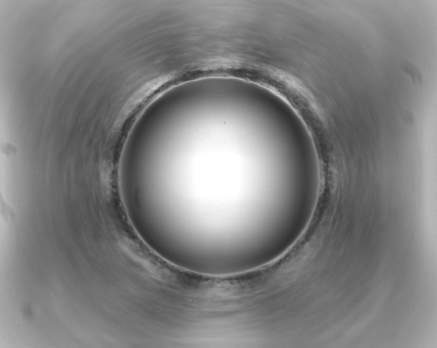 X0000091171217200708091158