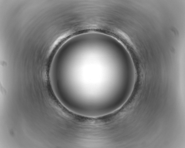 X0000091171218200708091158