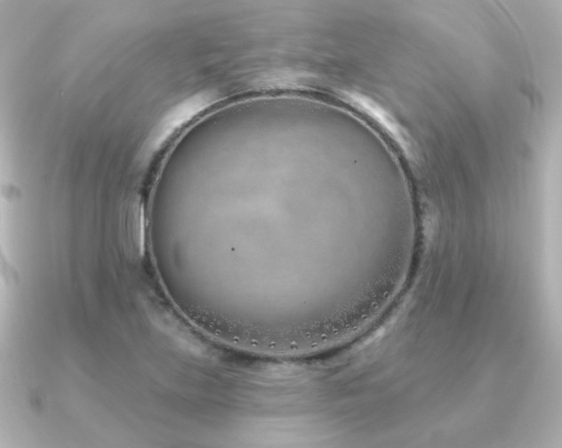 X0000091171219200708091158