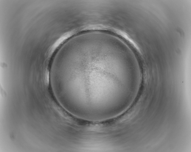 X0000091171221200708091158