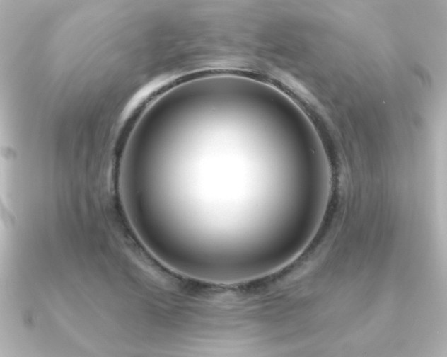X0000091171222200708091158