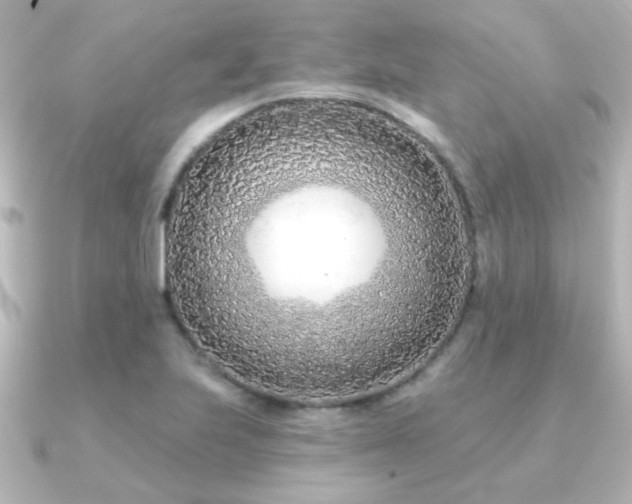 X0000091171223200708091158
