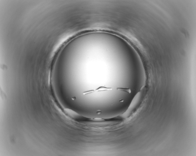 X0000091171224200708091158