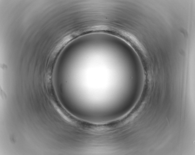 X0000091171225200708091158