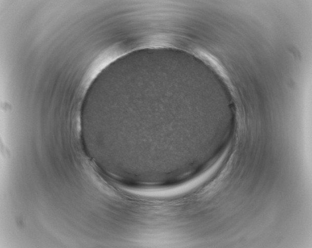 X0000091171226200708091158