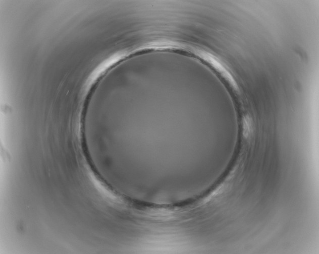 X0000091171229200708091158