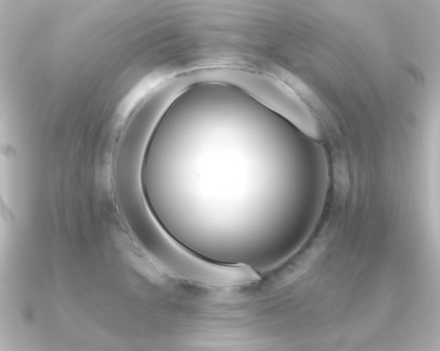 X0000091171230200708091158