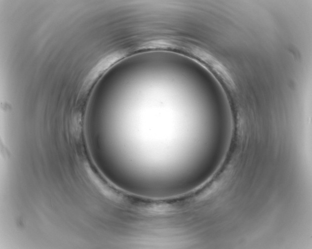 X0000091171233200708091158