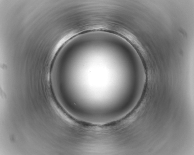 X0000091171234200708091158