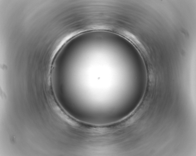 X0000091171236200708091158