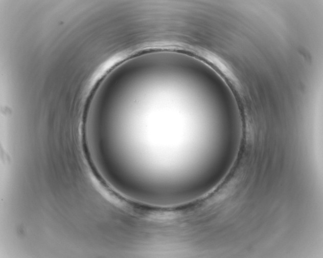 X0000091171237200708091158