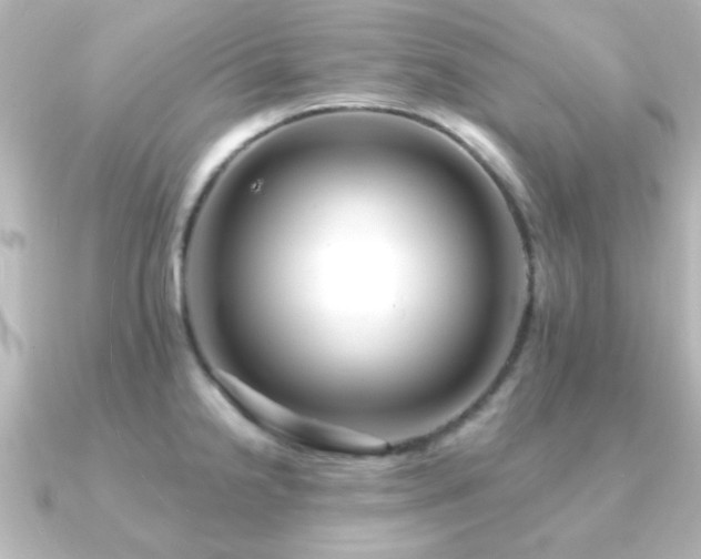 X0000091171238200708091158