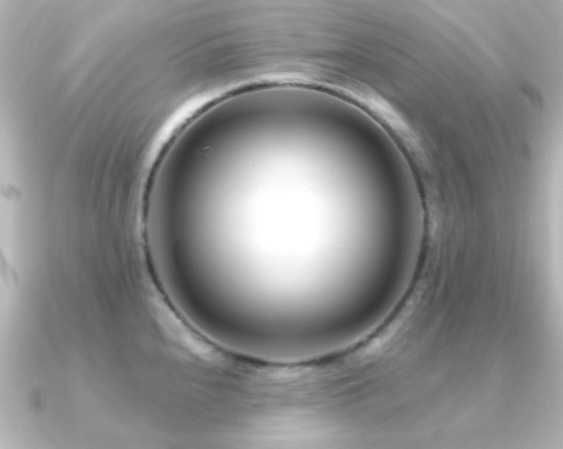 X0000091171240200708091159