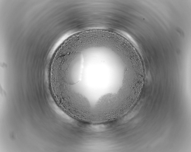 X0000091171243200708091159