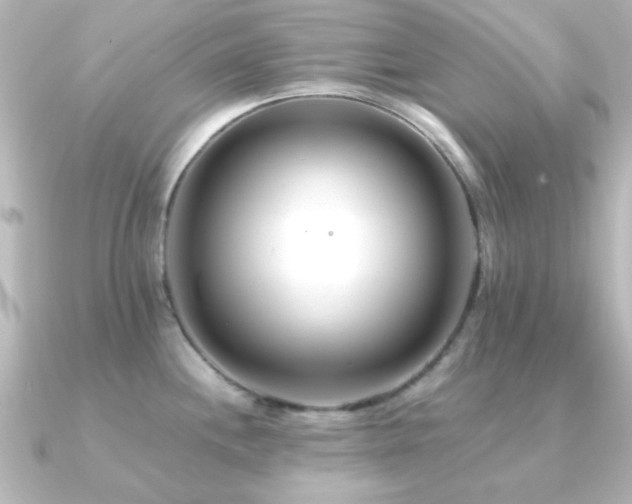 X0000091171244200708091159