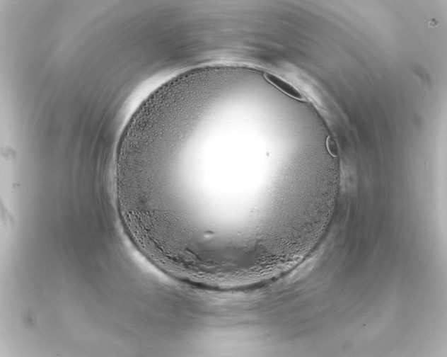 X0000091171247200708091159