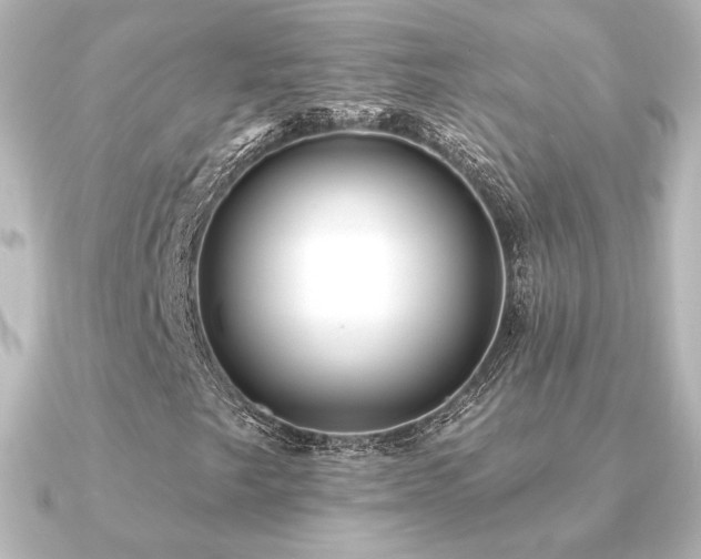 X0000091171249200708091158