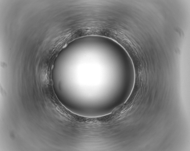 X0000091171250200708091158