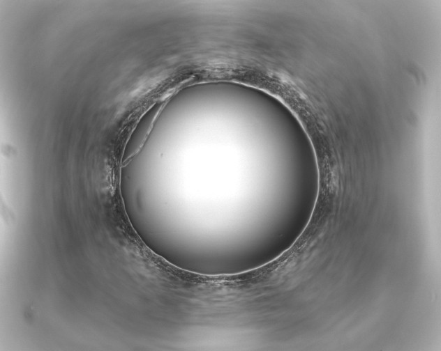 X0000091171253200708091158