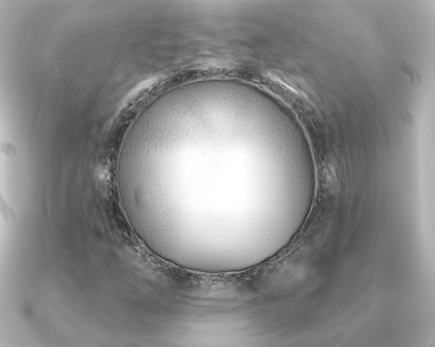 X0000091171254200708091158
