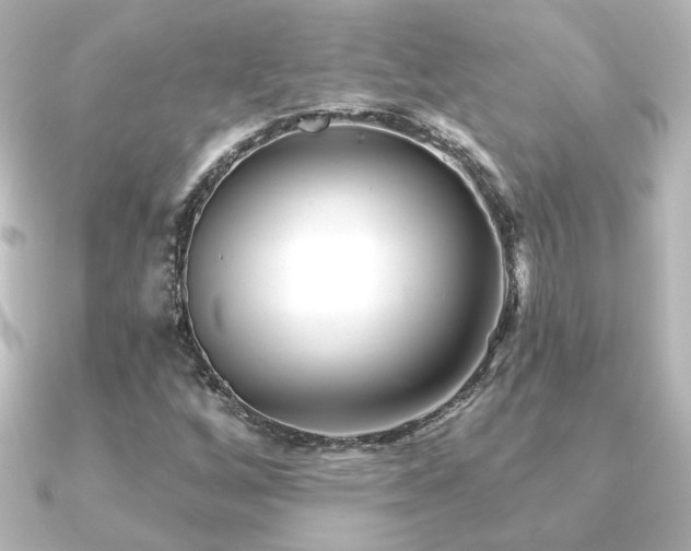 X0000091171256200708091158