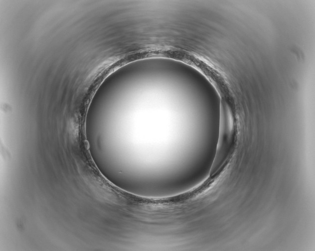 X0000091171257200708091158