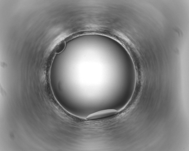 X0000091171259200708091158