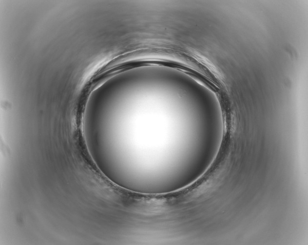 X0000091171261200708091158