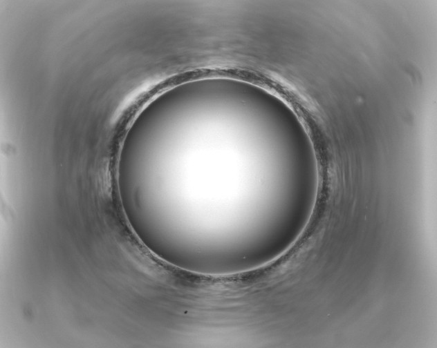 X0000091171262200708091158