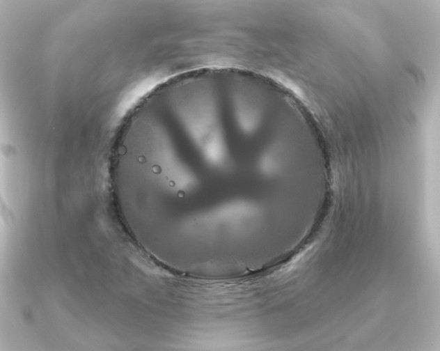 X0000091171263200708091158